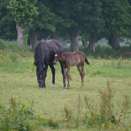 Prázdninový dům Aristide Mont Saint Michel *