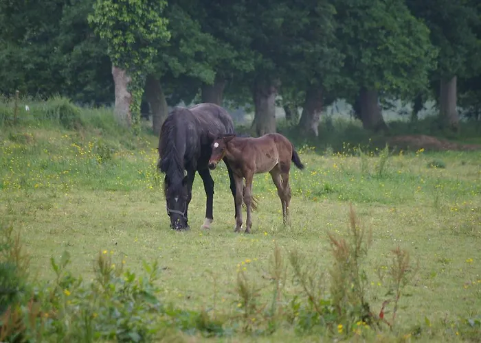 別荘 Aristide Mont Saint Michel *