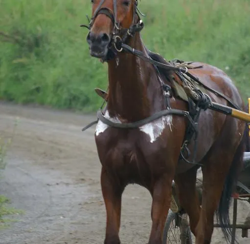 別荘 Aristide Mont Saint Michel